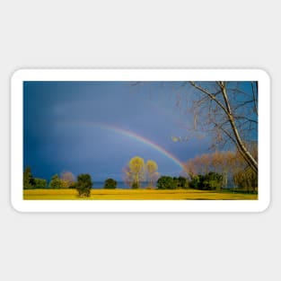 9242015 chasing rainbows Sticker